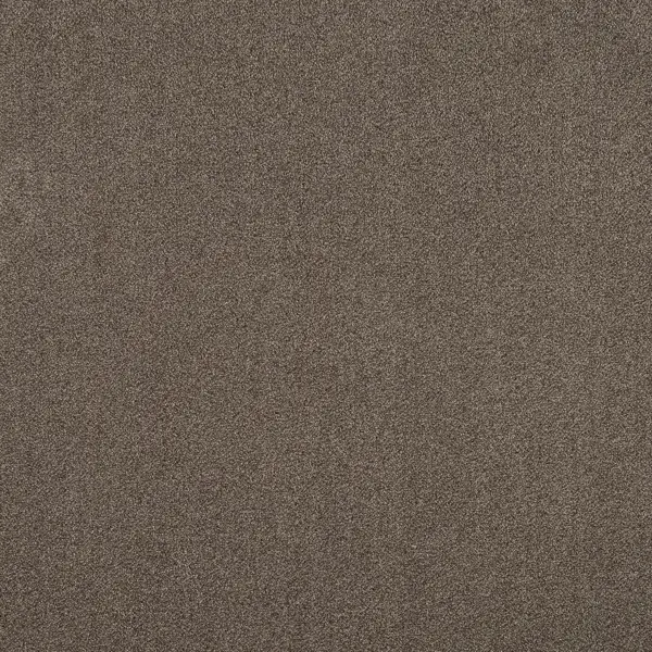 Ковровое покрытие ворсистое «Парадиз 570» ворсовое 3 м цвет капучино