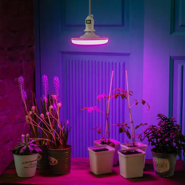 Фитолампа светодиодная для растений Uniel E27 220-230 В 16 Вт 150 мм красно-синий спектр розовый свет
