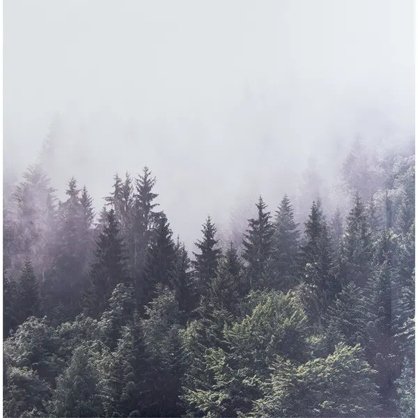 Картина на холсте «Туманный лес» 30x30 см