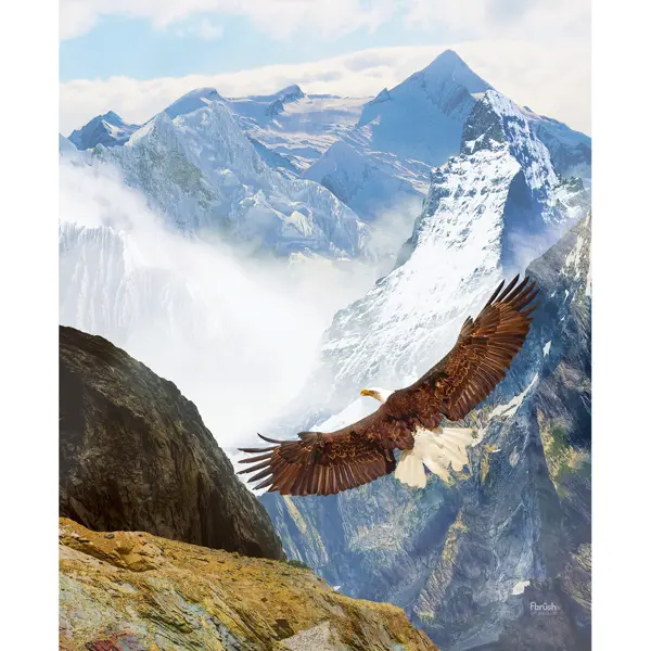 Картина на холсте "Рожден летать" 40x50 см