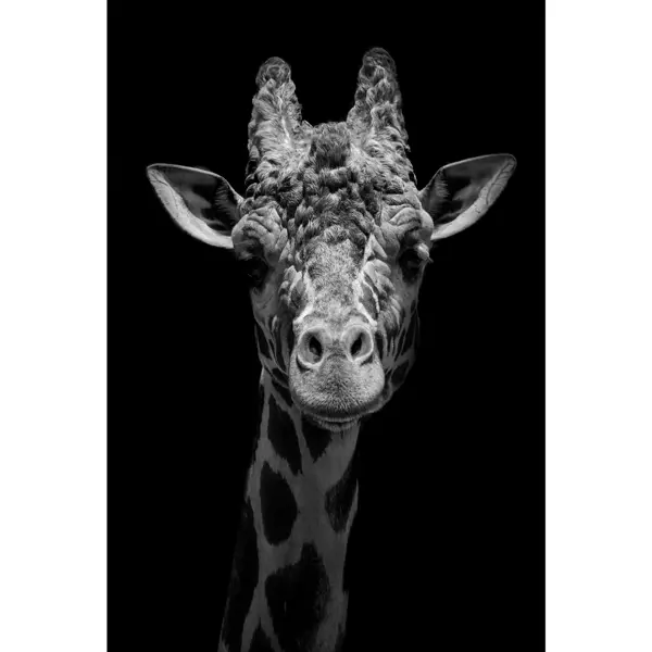 Картина на стекле «Жираф» 40x60 см