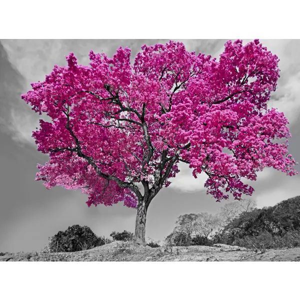 Картина на холсте Розовое дерево 50x70 см