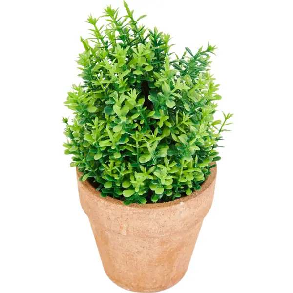 Искусственное растение декоративно-лиственное зеленый ? 12 см ПВХ