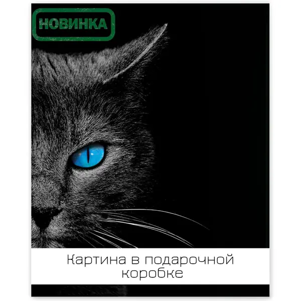 Картина на холсте Ночная кошка 40х50 см