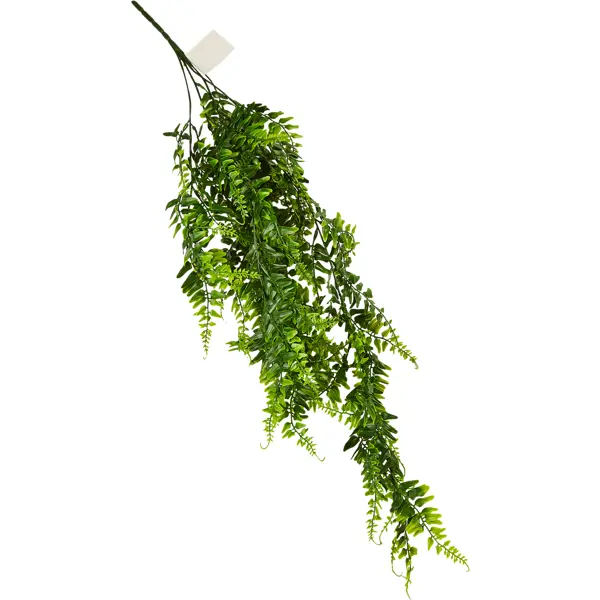 Искусственное растение Колумнея 50x8 см цвет зеленый ПВХ