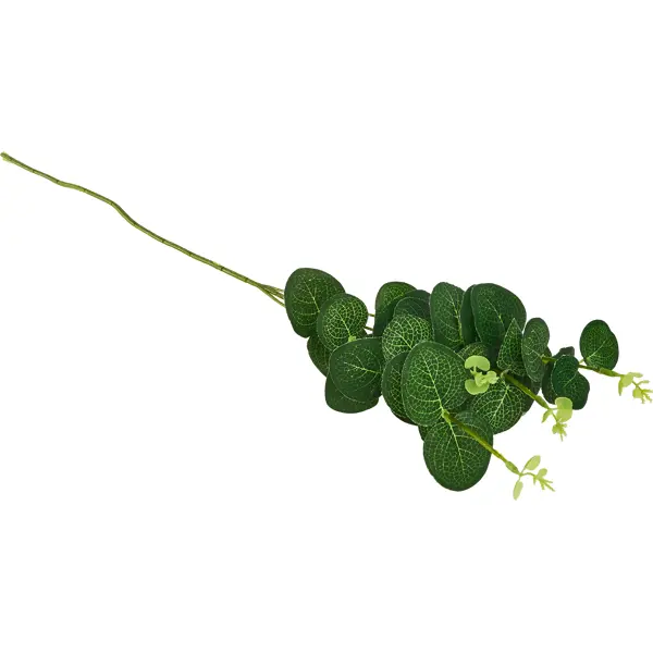 Искусственное растение Эвкалипт ветка h50 см полиэстер зеленый