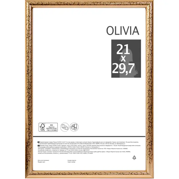 Рамка Olivia, 21x29.7 см, пластик, цвет золото