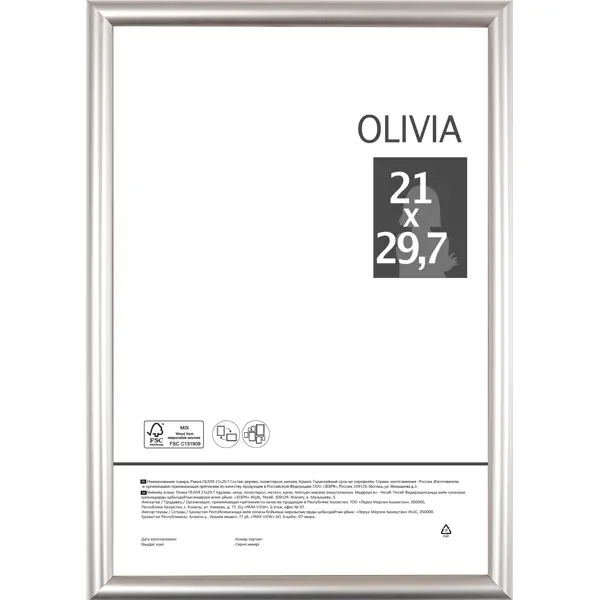 Рамка Olivia, 21x29.7 см, пластик, цвет серебро